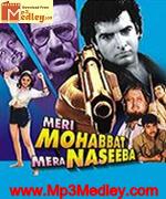 Meri Mohabbat Mera Naseeba 1995